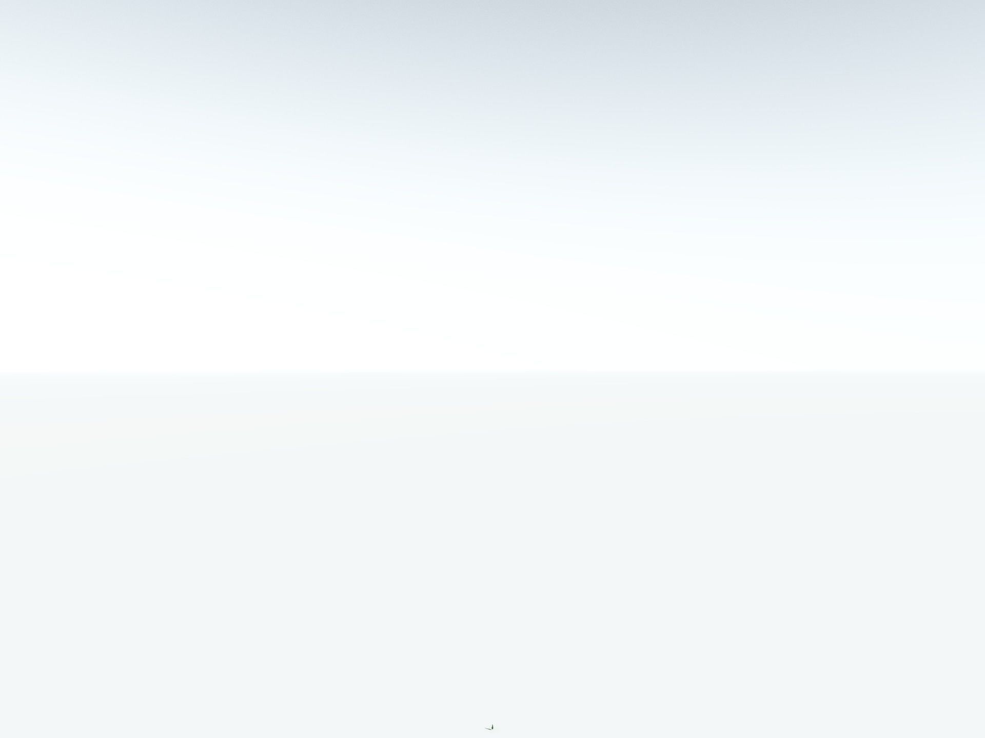 EVERYPlant Calamites Undulatus 3D model_30