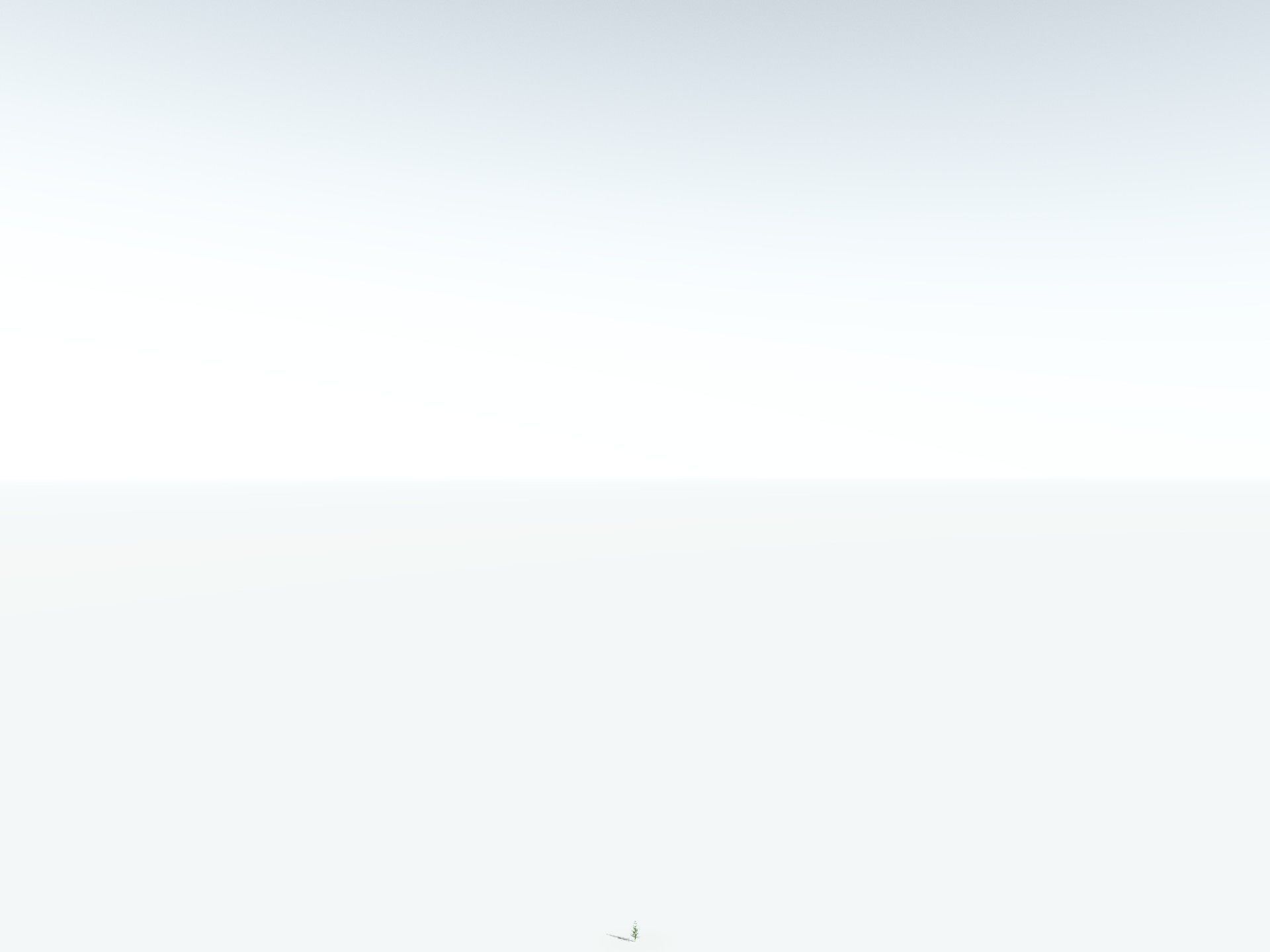 EVERYPlant Calamites Undulatus 3D model_28