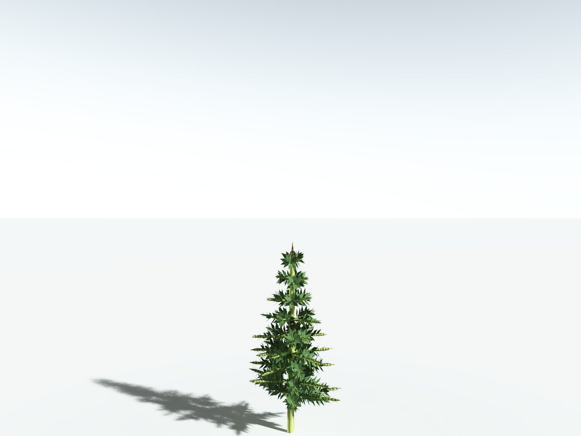 EVERYPlant Calamites Undulatus 3D model_29