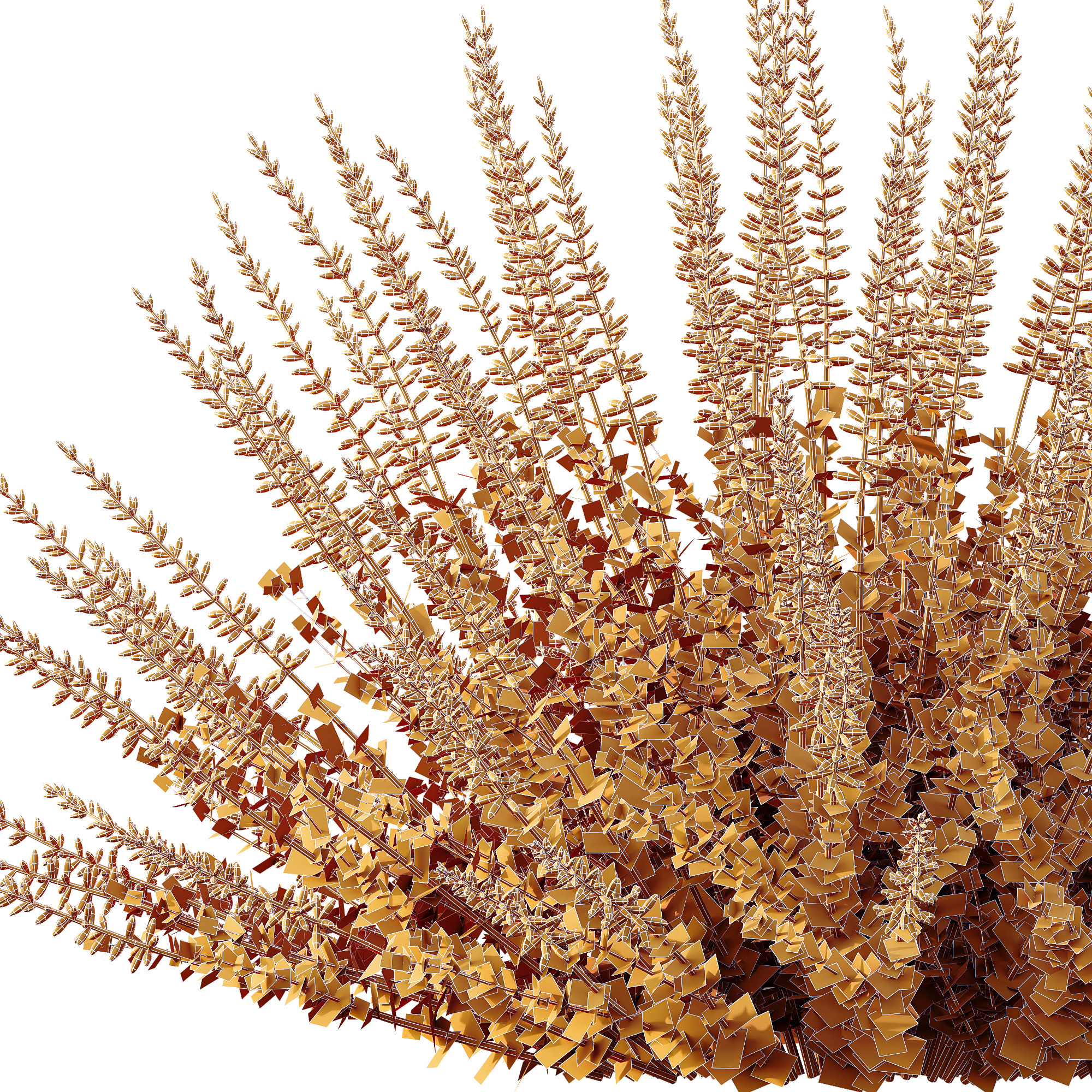 AV Plant Calluna Vulgaris Helena Summer Broom Girls01 3D model_5