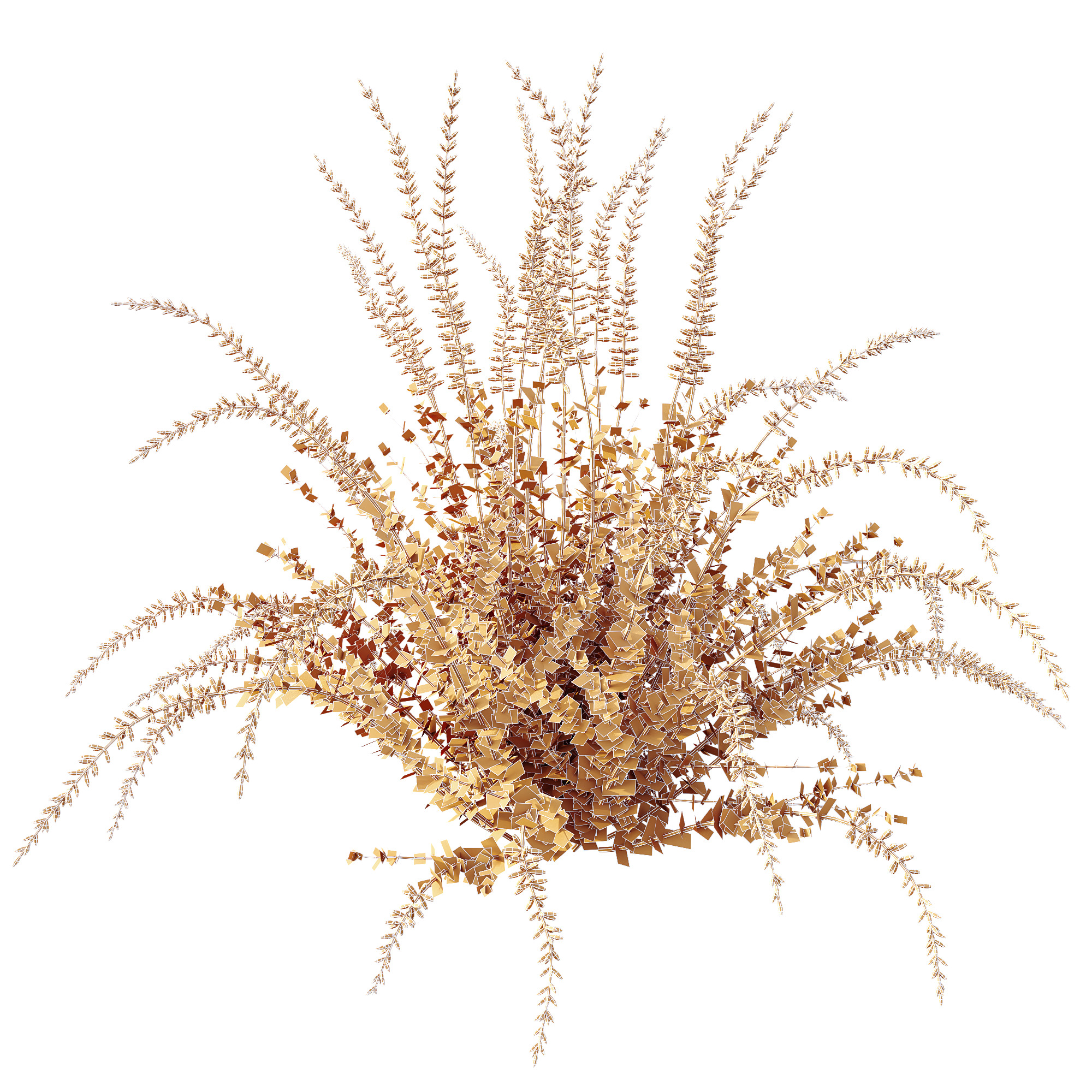 AV Plant Calluna Vulgaris Helena Summer Broom Girls03 3D model_3