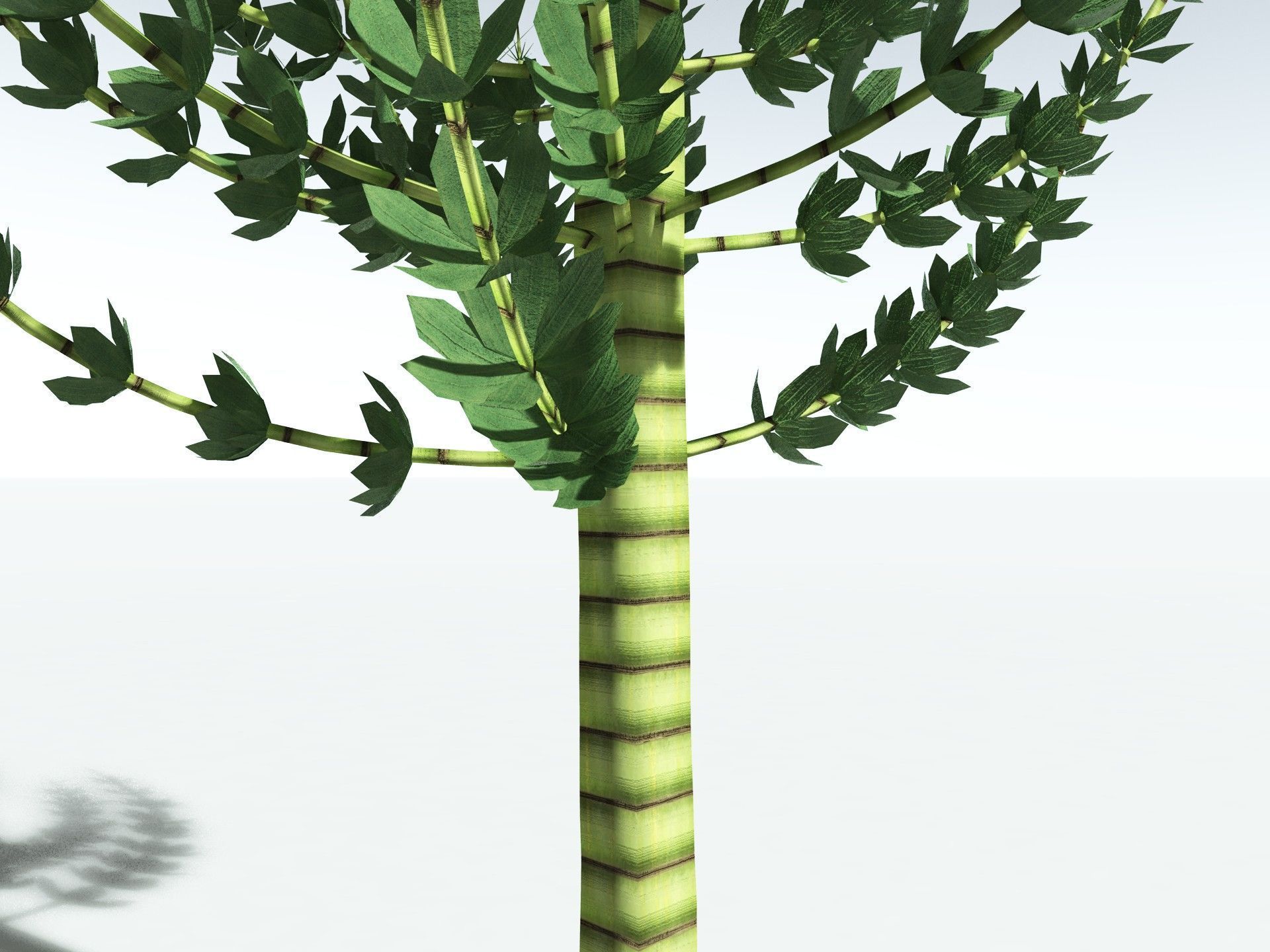 EVERYPlant Calamites Undulatus LowPoly Low-poly 3D model_5