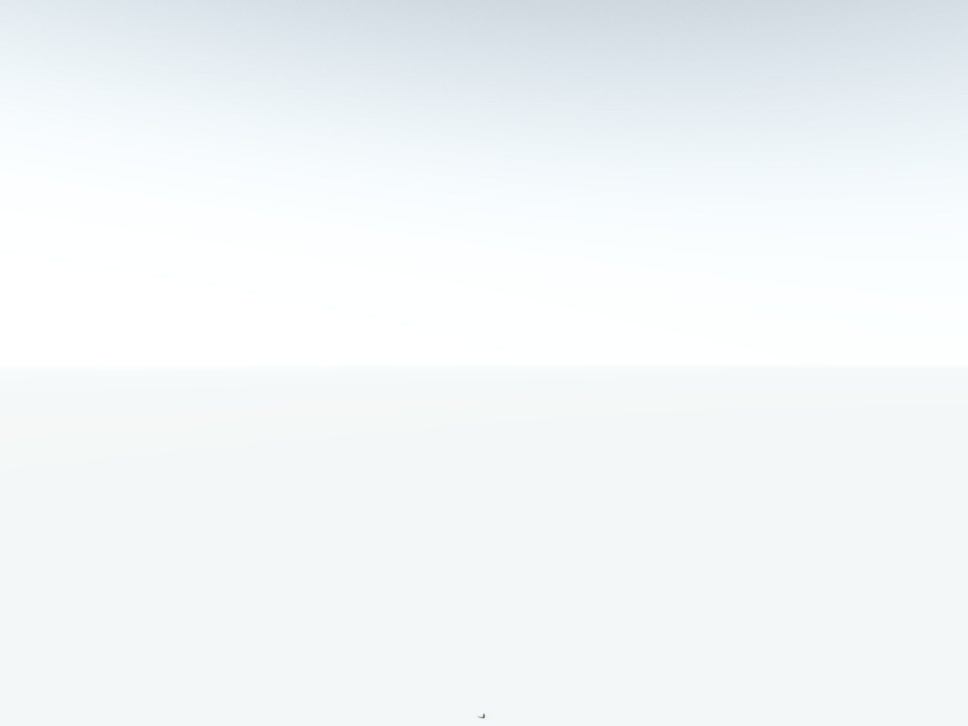 EVERYPlant Calamites Undulatus LowPoly Low-poly 3D model_30