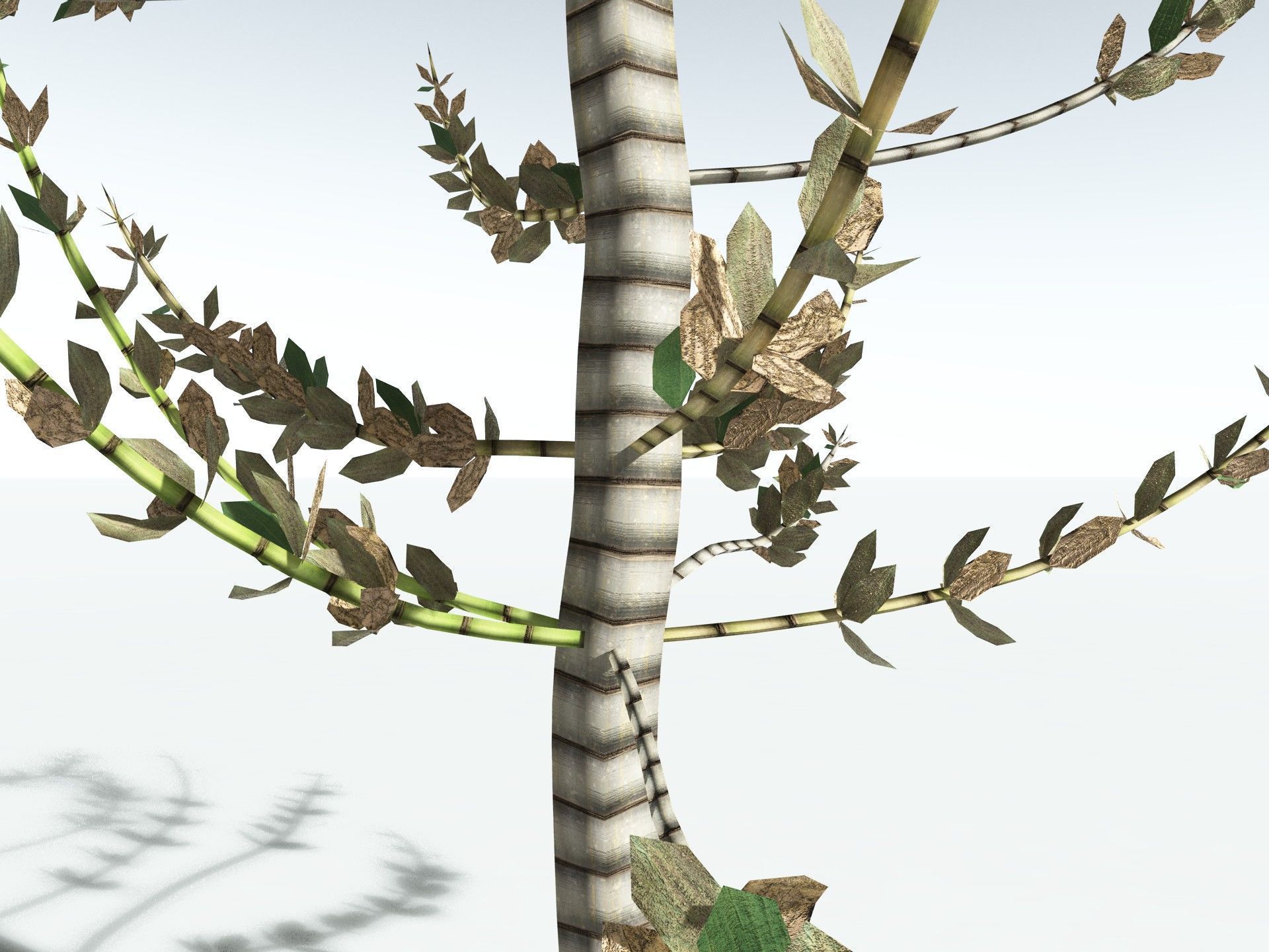 EVERYPlant Calamites Undulatus LowPoly Low-poly 3D model_17