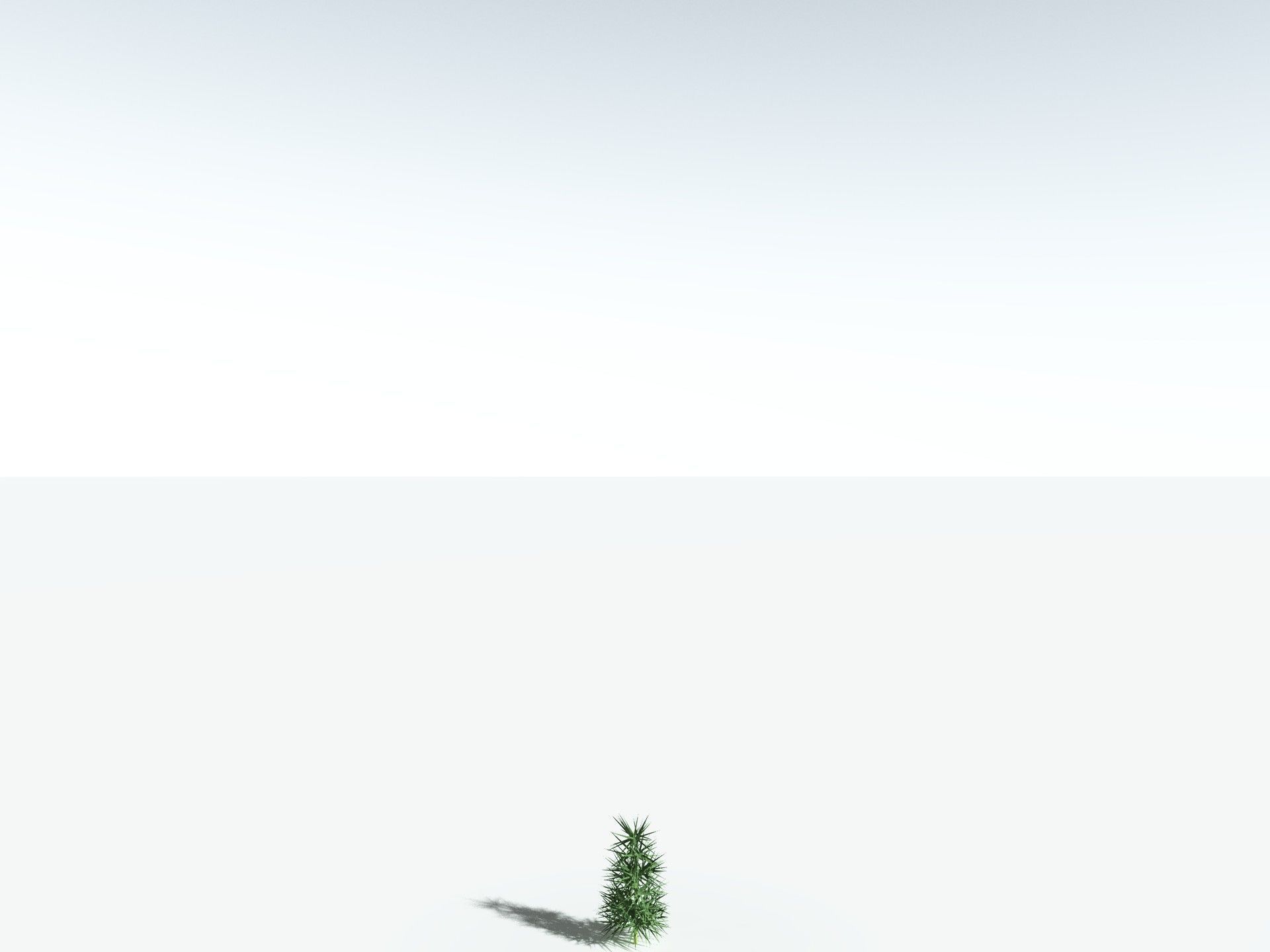 EVERYPlant Calamites Undulatus LowPoly Low-poly 3D model_31