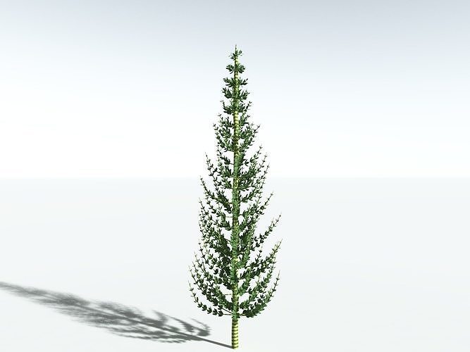 EVERYPlant Calamites Undulatus LowPoly -16 Models- Low-poly 3D model