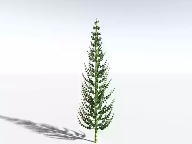 EVERYPlant Calamites Undulatus LowPoly Low-poly 3D model EVERYPlant Calamites Undulatus LowPoly Low-poly 3D model