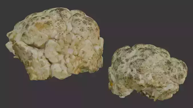  Cauliflower Scan