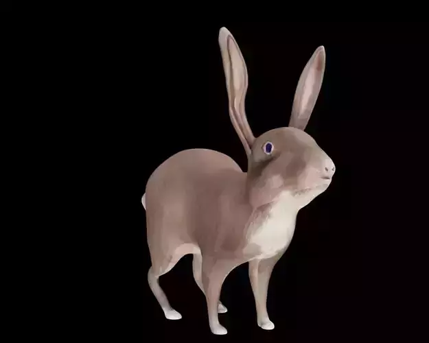  Rabbit 3D Model 