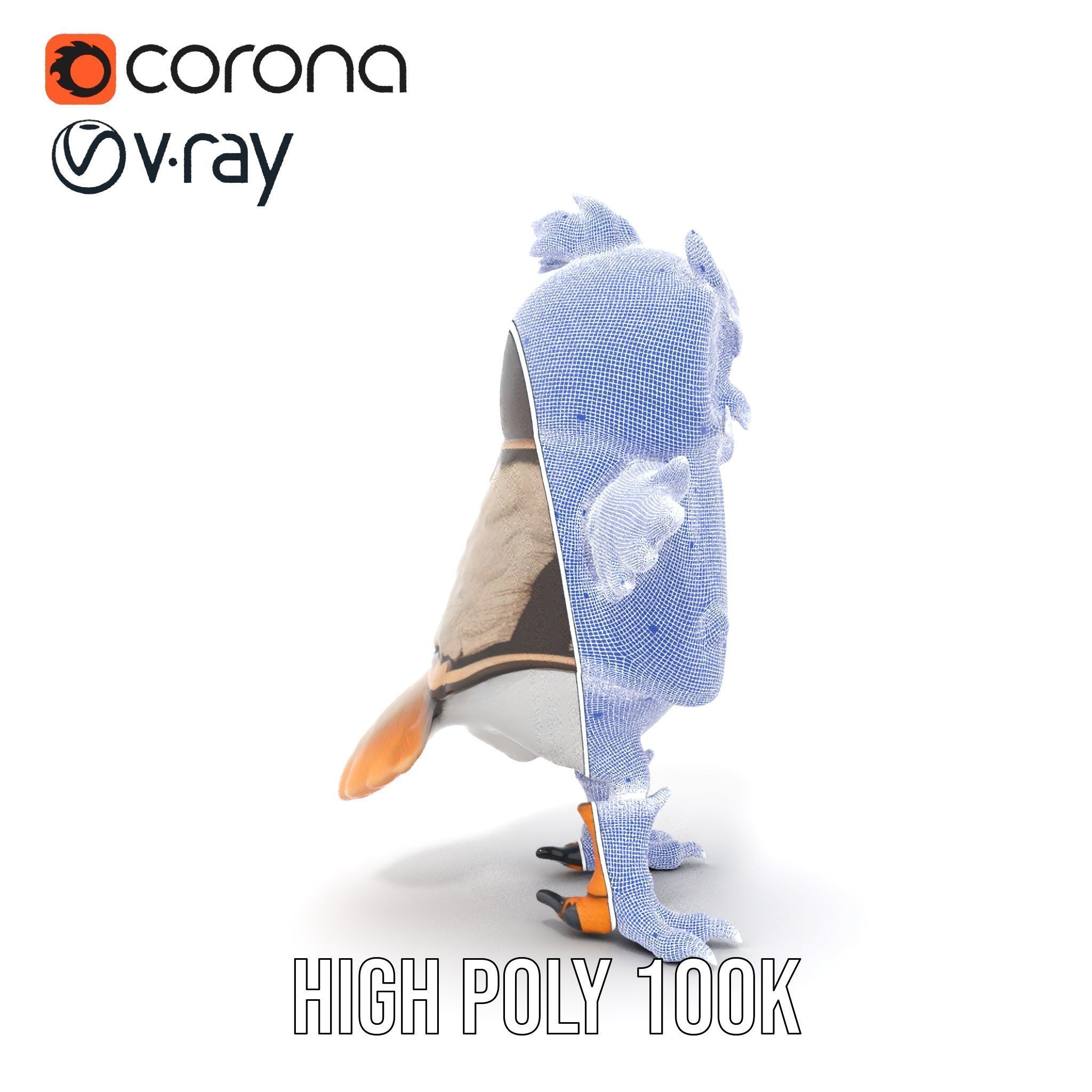 Animated Rigged Owl Character Model with Vest and Boots Low-poly 3D model_37