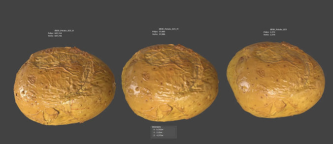 Potato 3D model 6