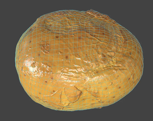 Potato 3D model 7