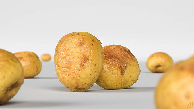 Potato 3D model 2