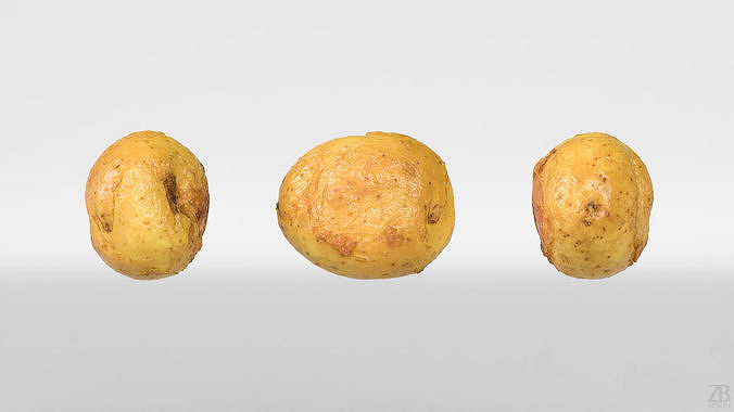 Potato 3D model 5
