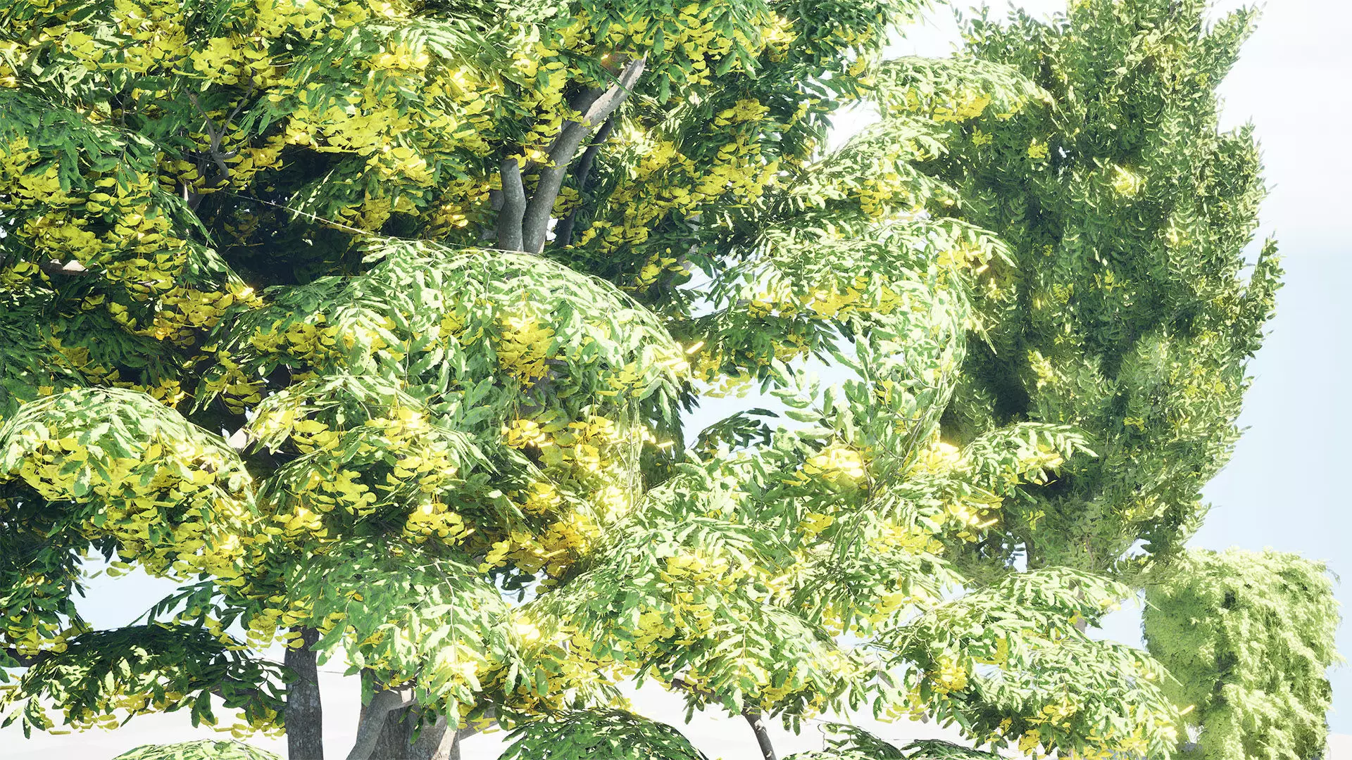 UK Hedgerow Hornbeam 3D Model Collection Low-poly 3D model_3