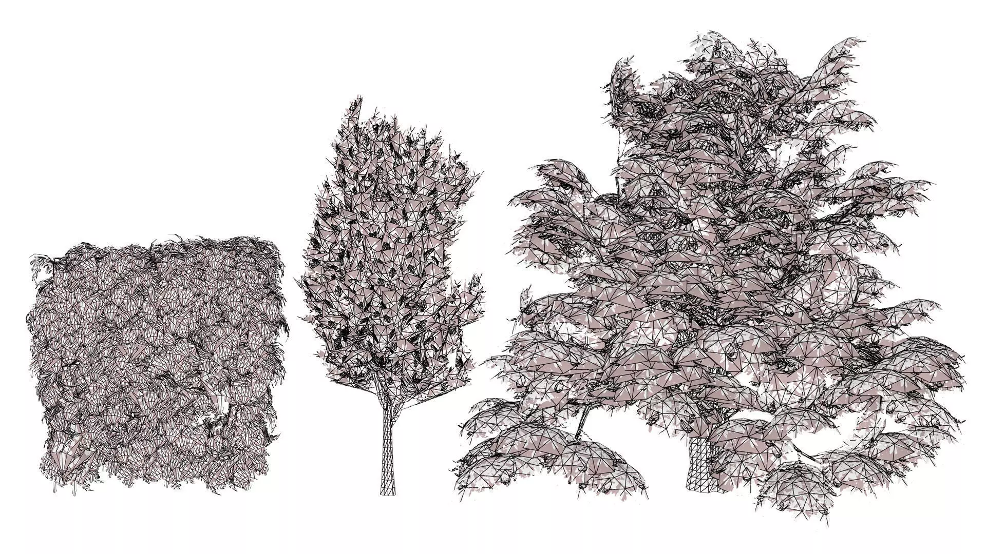 UK Hedgerow Hornbeam 3D Model Collection Low-poly 3D model_7