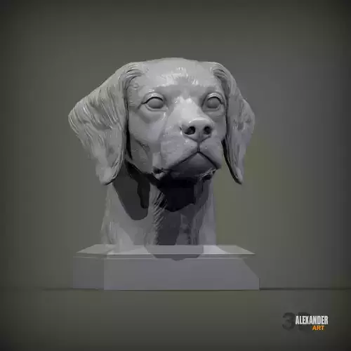Brittany Spaniel or Breton Spaniel bust