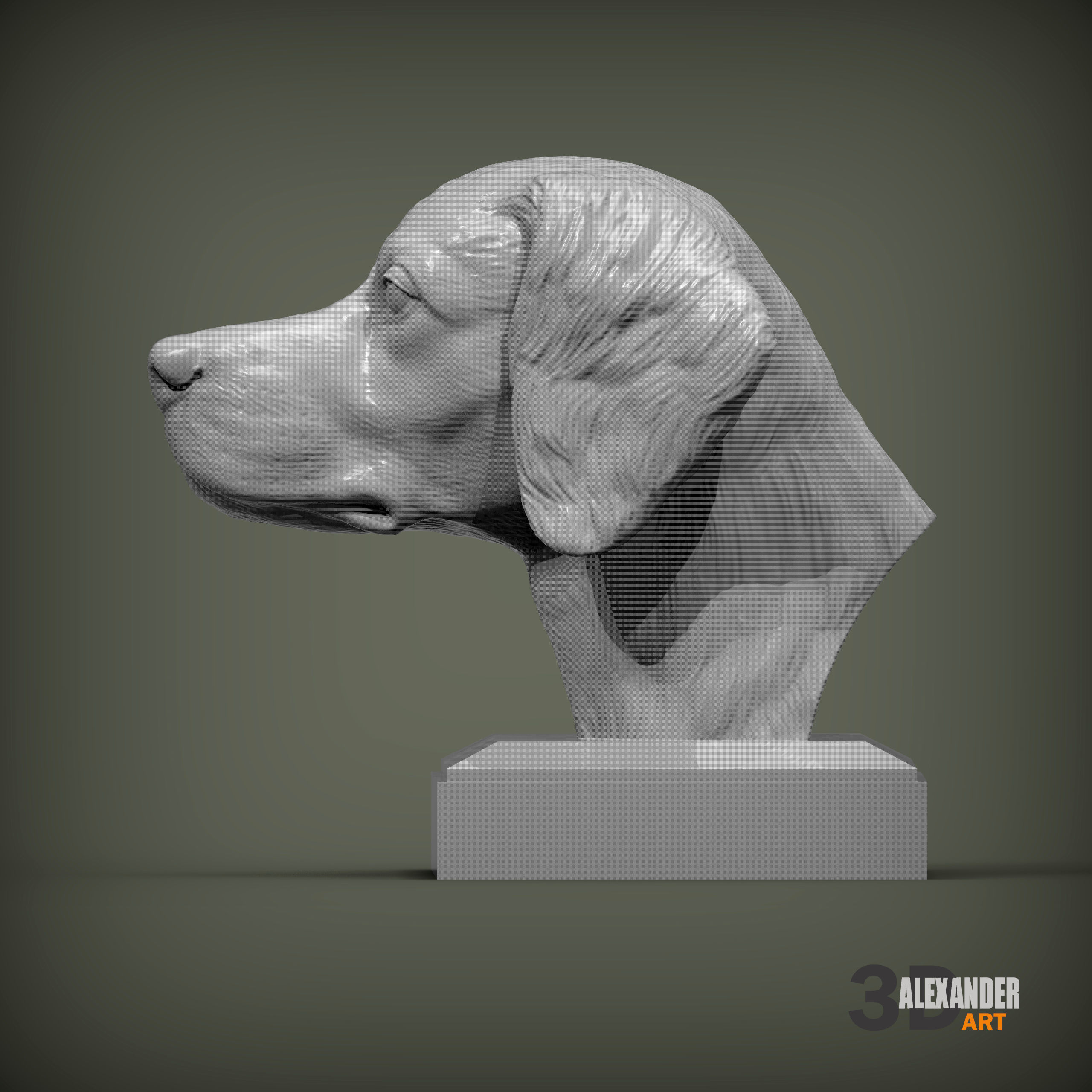 Brittany Spaniel or Breton Spaniel bust 3D print model_1