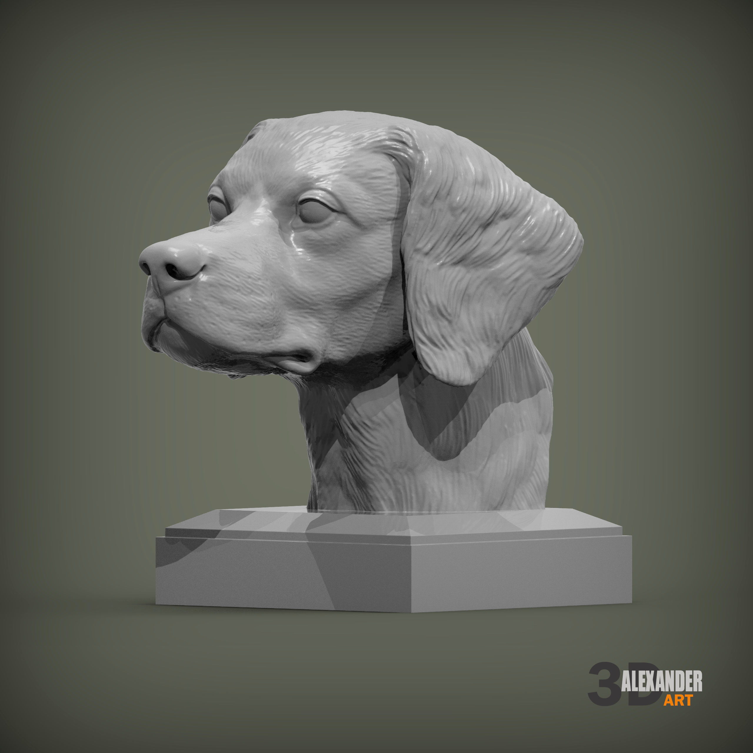 Brittany Spaniel or Breton Spaniel bust 3D print model_2