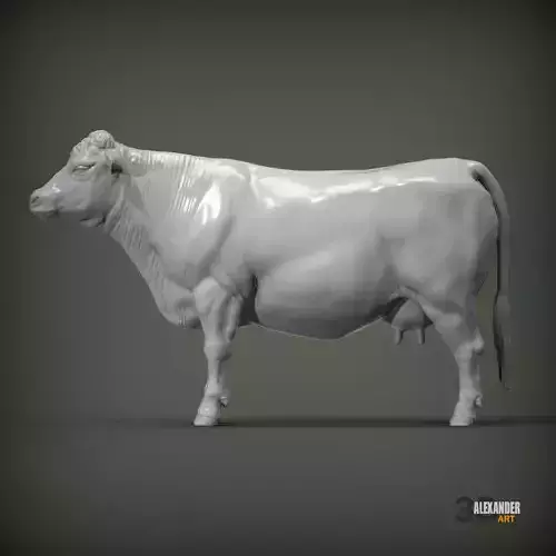 Charolais cow 3D print model