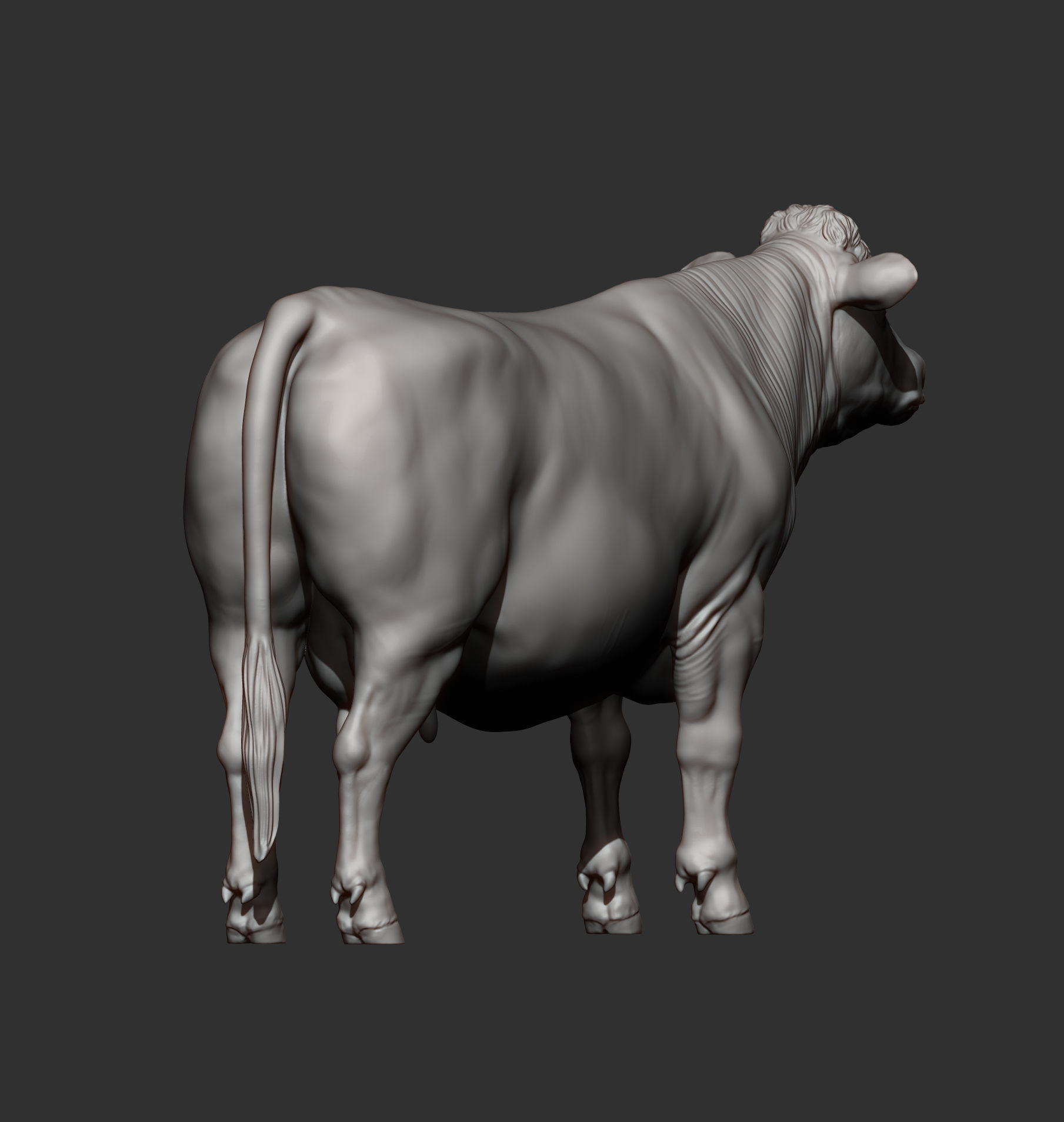 Charolais cow 3D print model_9