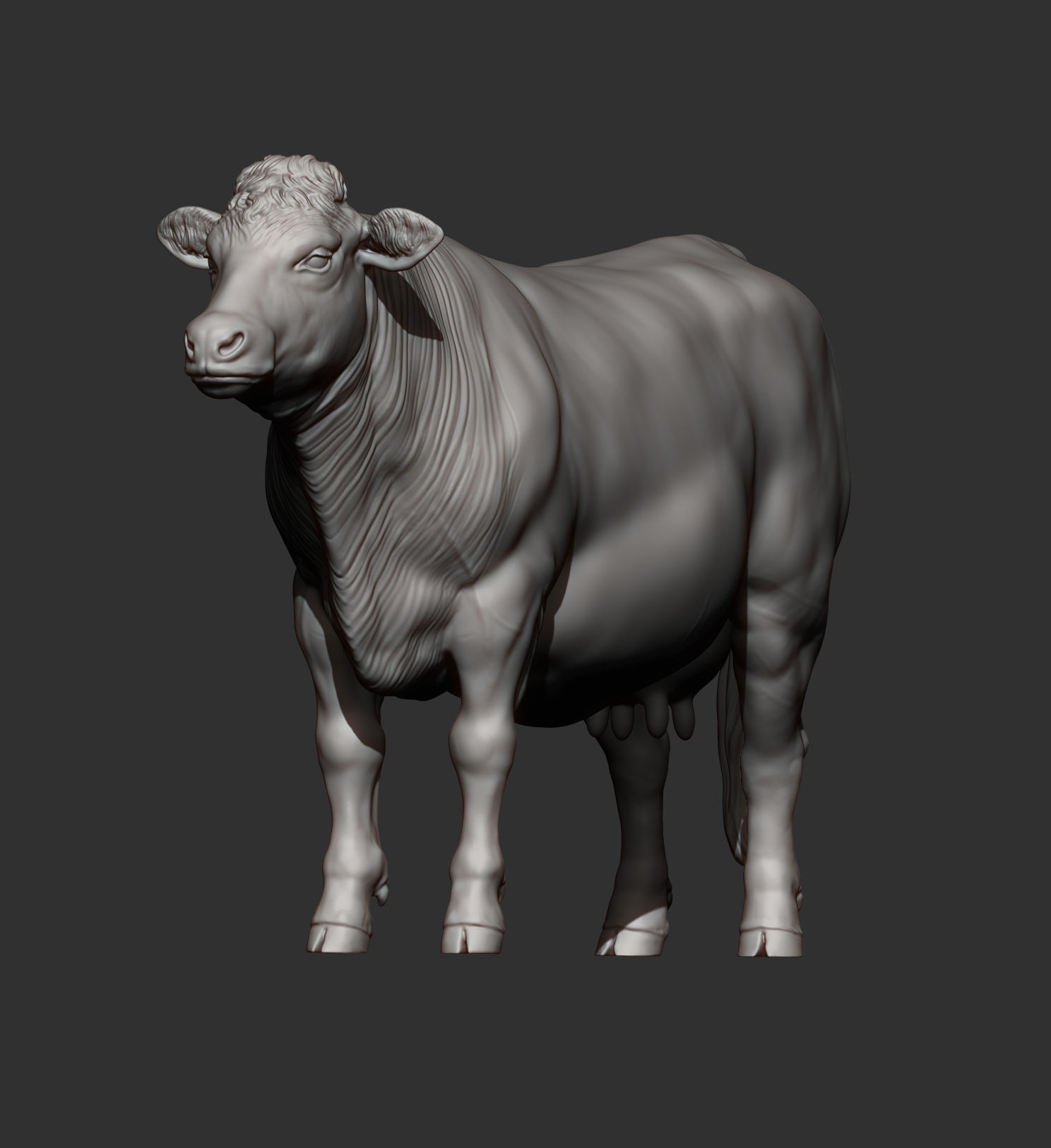 Charolais cow 3D print model_11