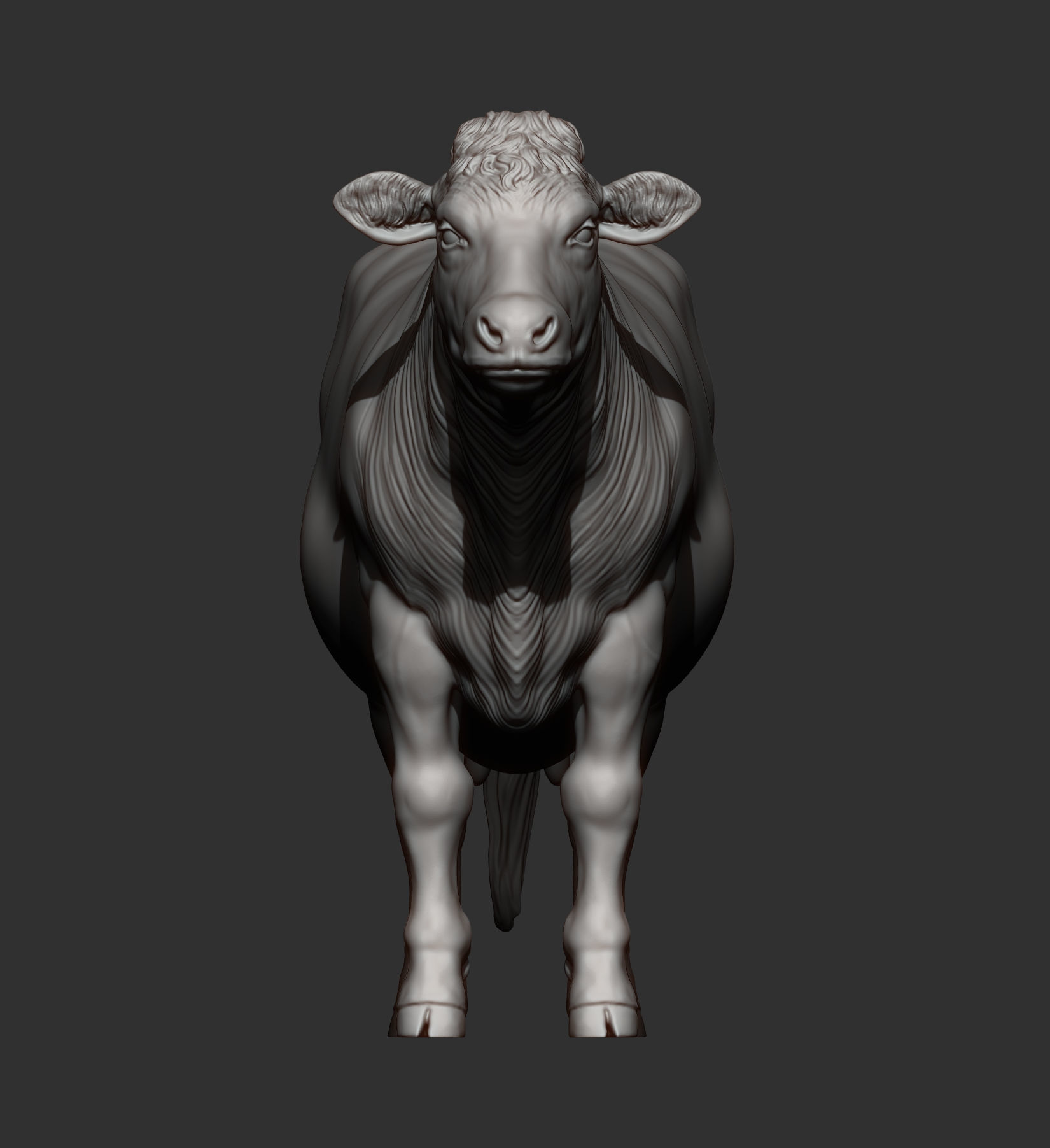 Charolais cow 3D print model_7