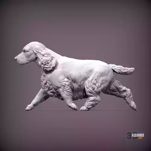 English cocker spaniel running