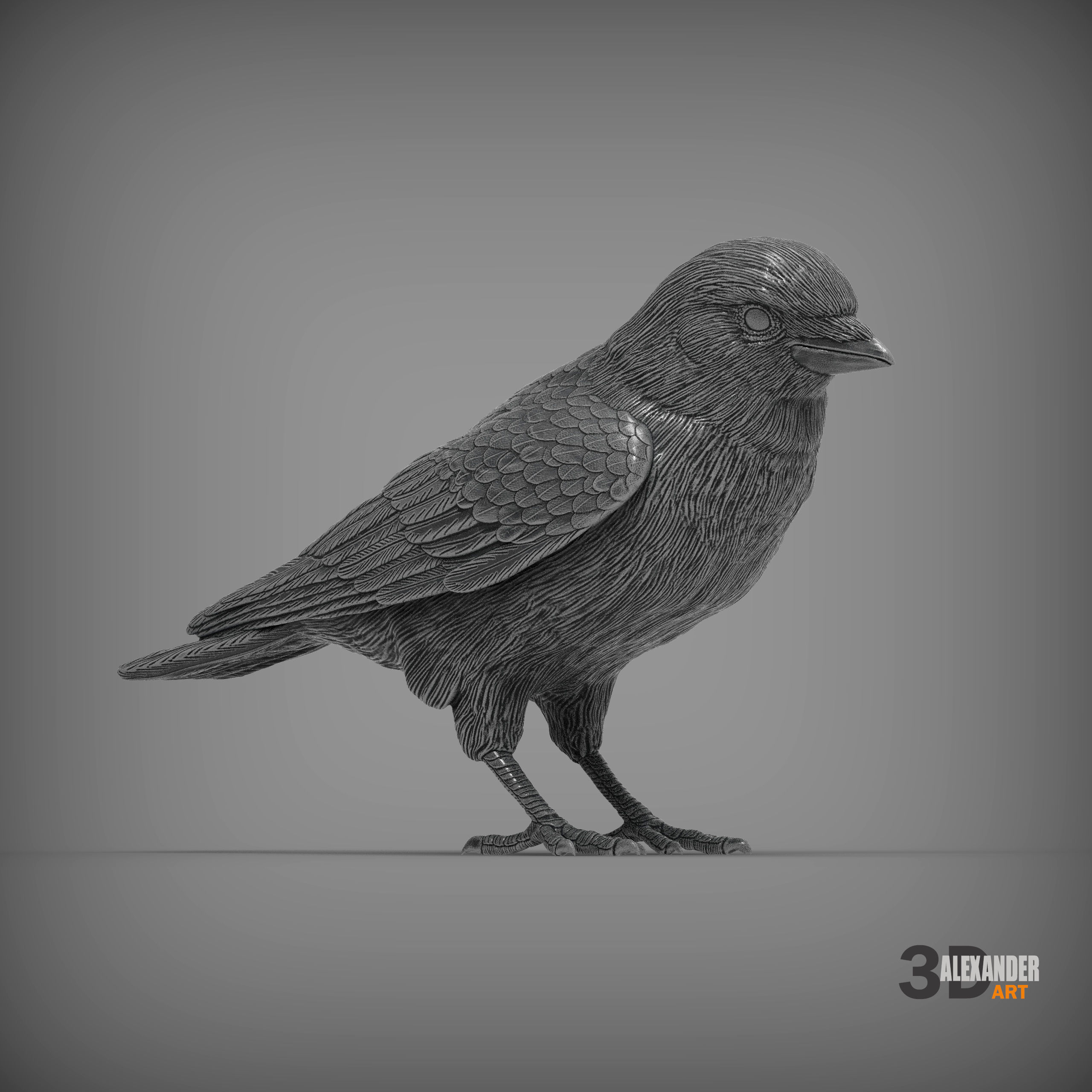 jackdaw 3D print model_1