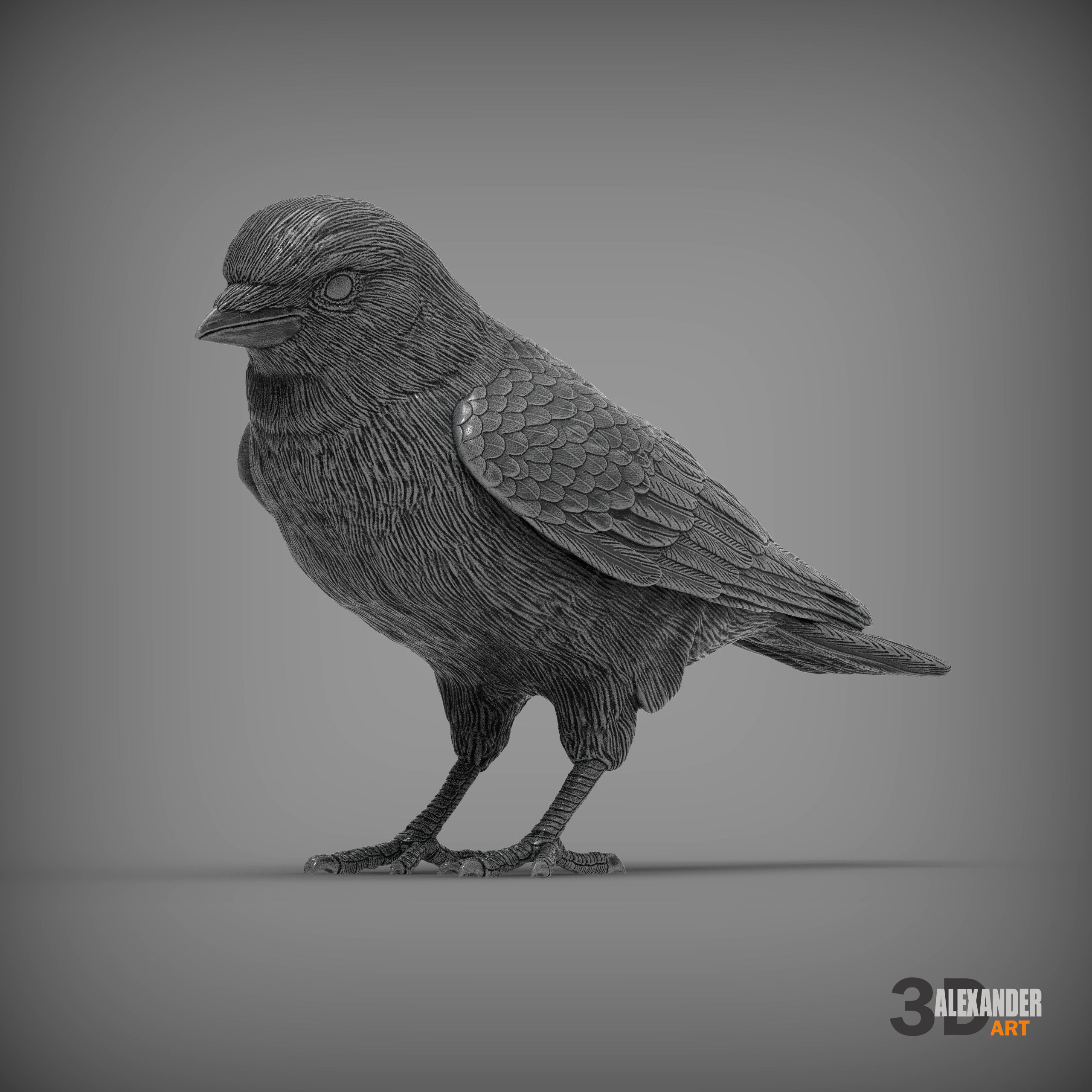 jackdaw 3D print model_2