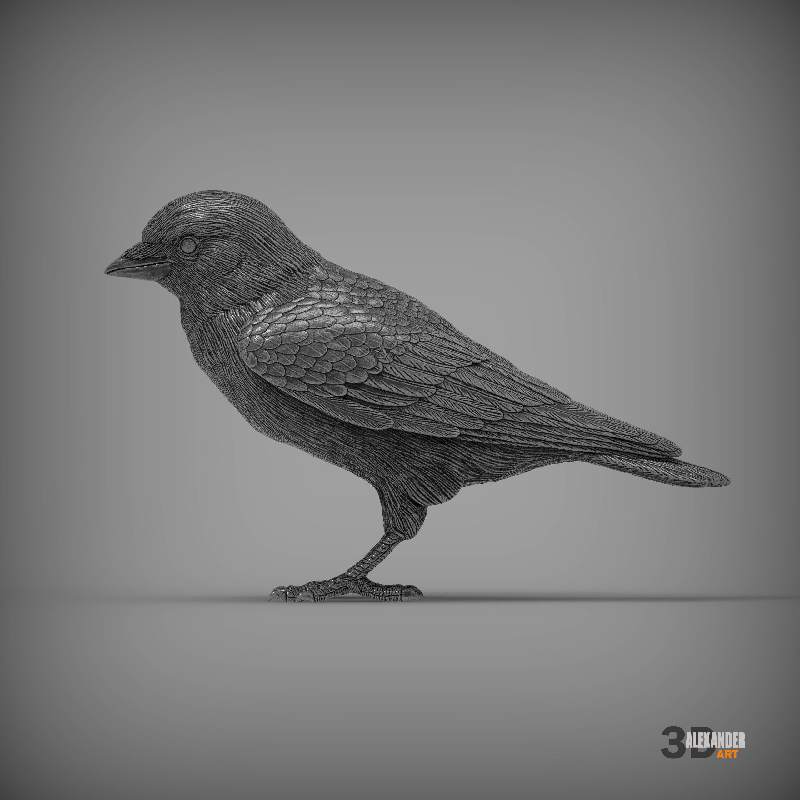 jackdaw 3D print model_3