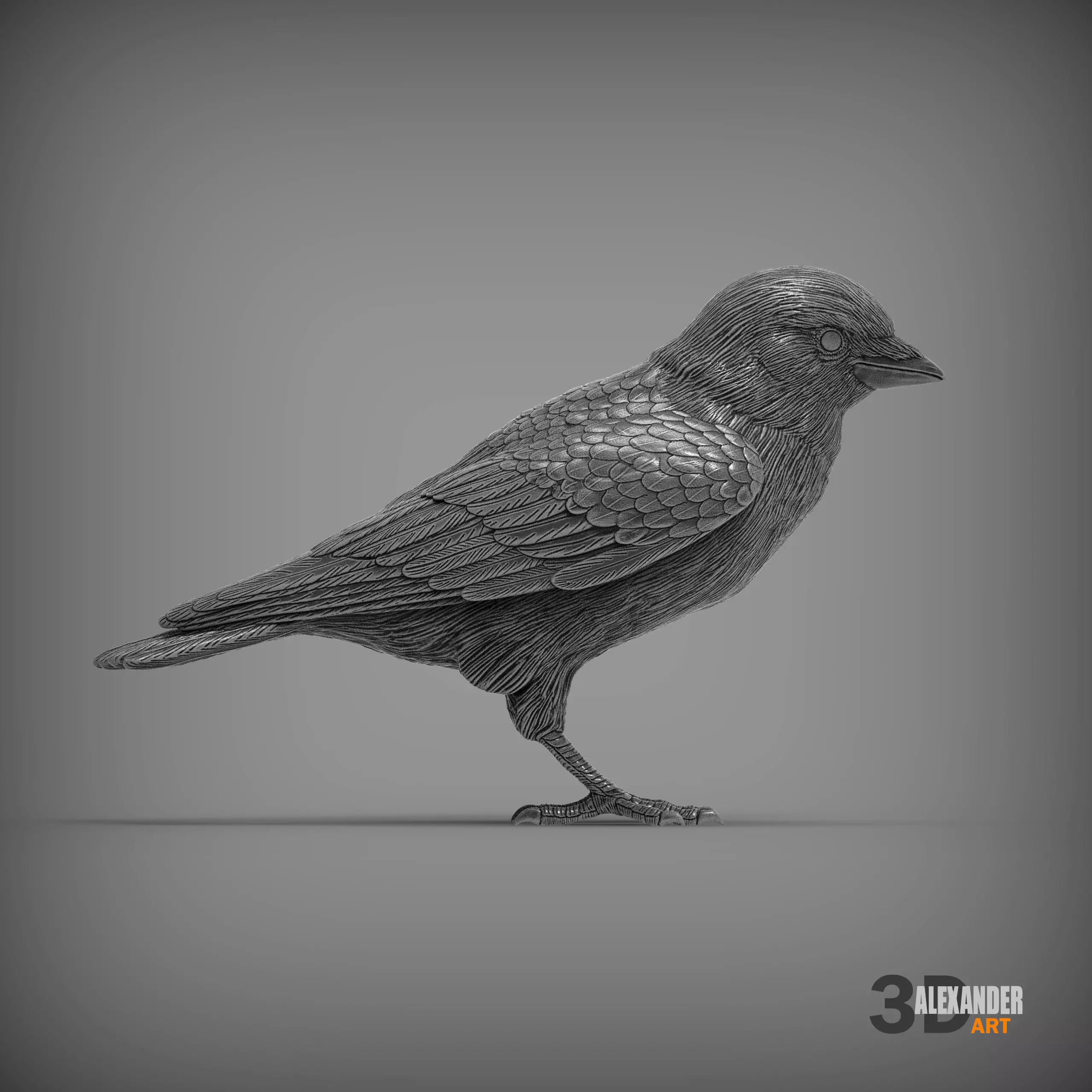 jackdaw 3D print model_0
