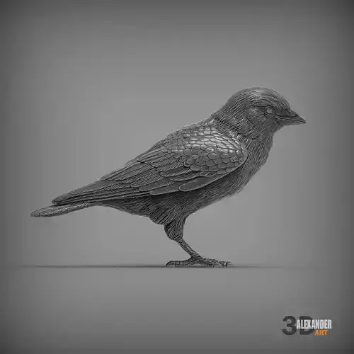 jackdaw 3D print model