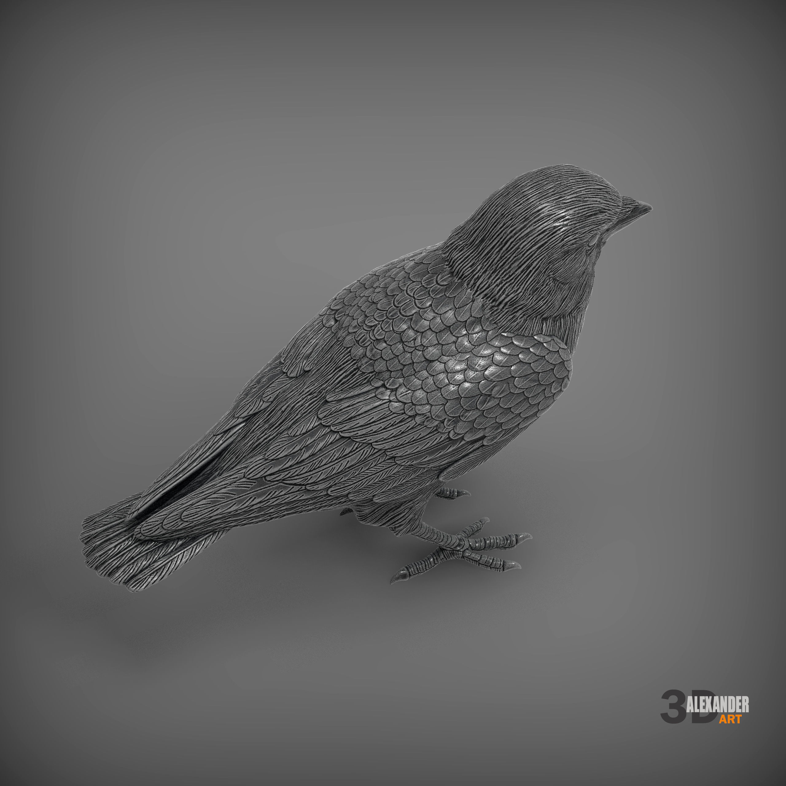 jackdaw 3D print model_6