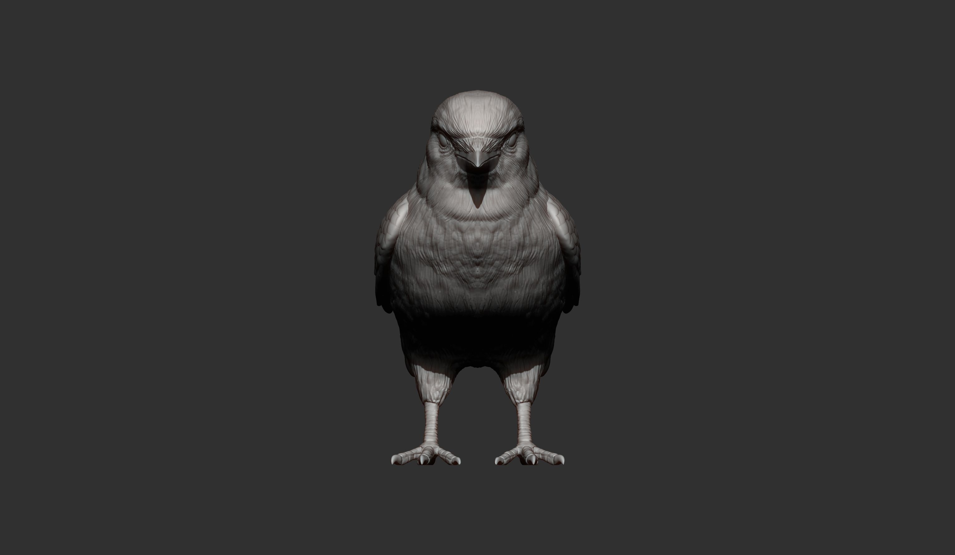 jackdaw 3D print model_11