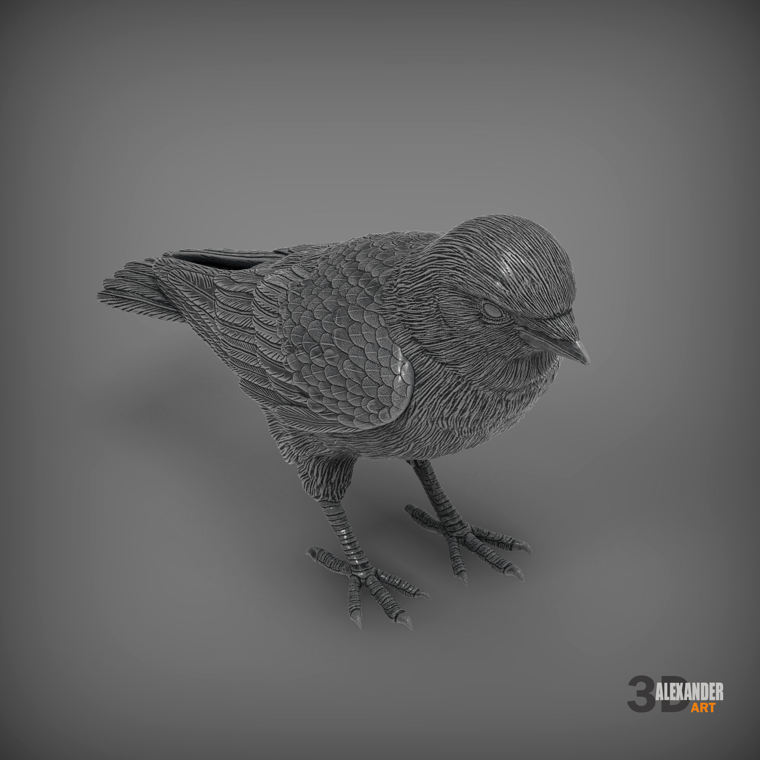 jackdaw 3D print model_7