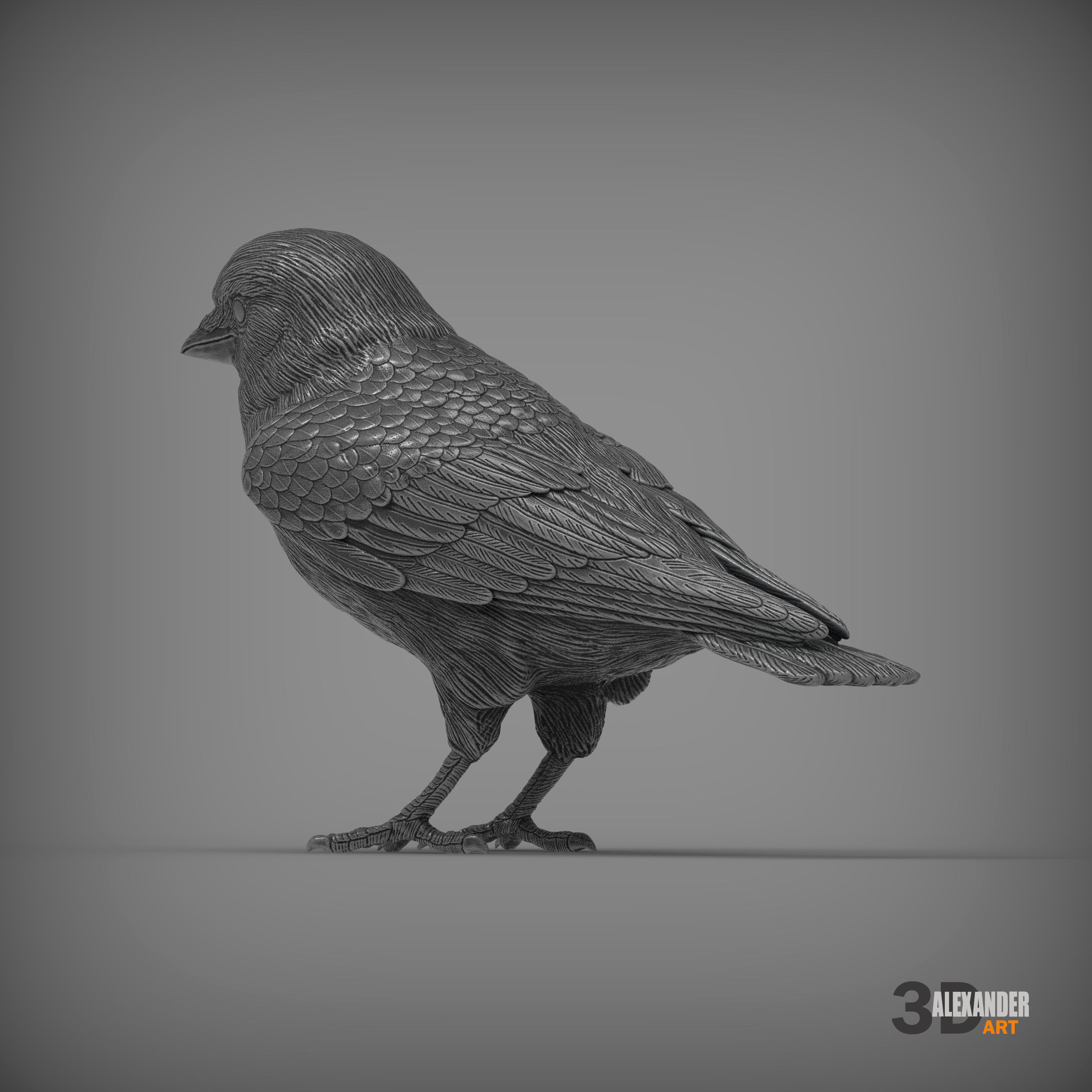 jackdaw 3D print model_4