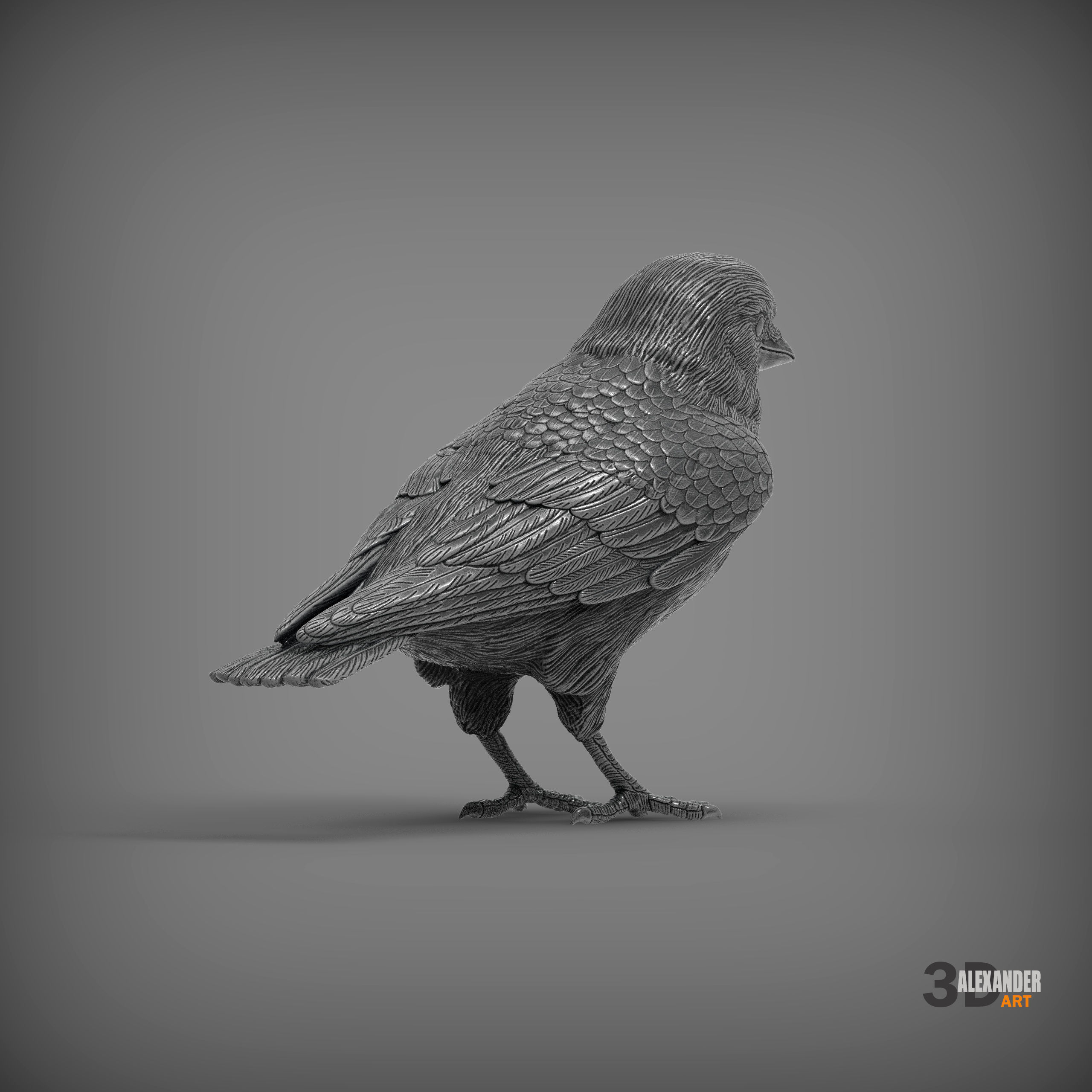 jackdaw 3D print model_5