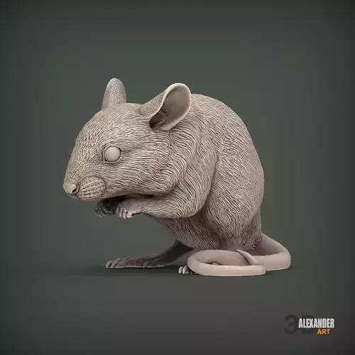 Wood Mouse 3D print model