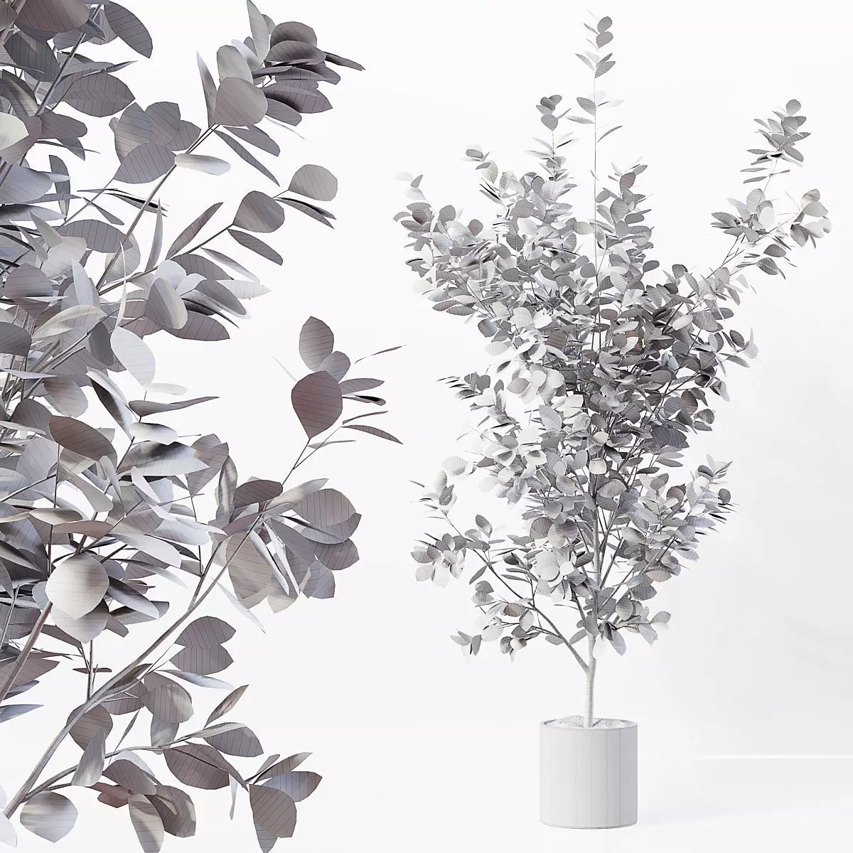 Indoor Plant 06 3D model_3