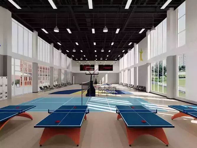 Sports complex - Gym - Basketball Court - Volleyball Court