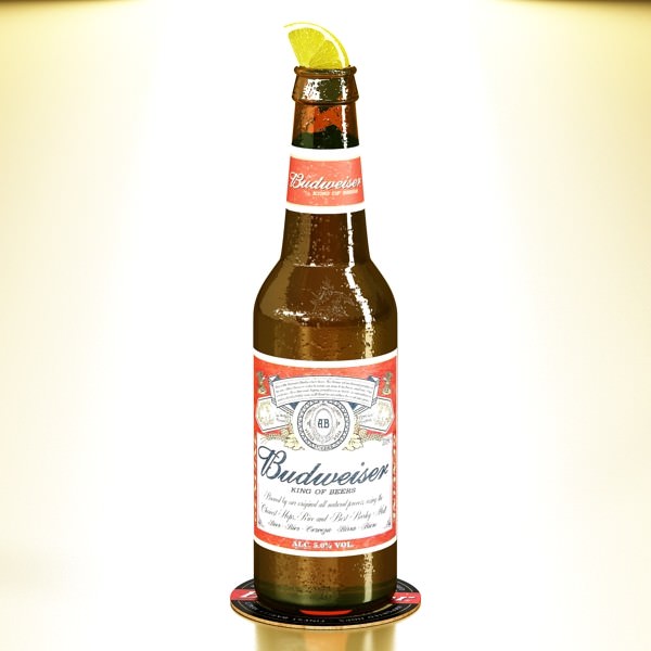 Beer Bottle 6 Packs Coasters Opener Set 3D model_35