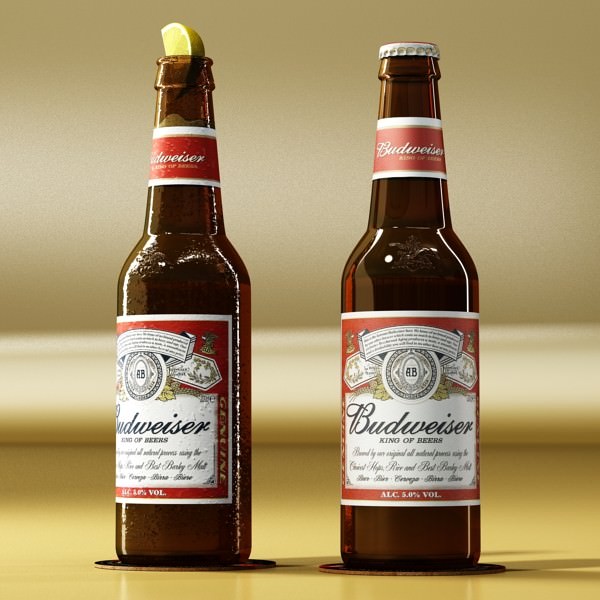 Beer Bottle 6 Packs Coasters Opener Set 3D model_43