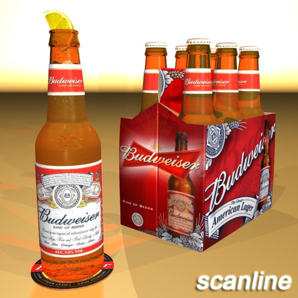 Beer Bottle 6 Packs Coasters Opener Set 3D model_31