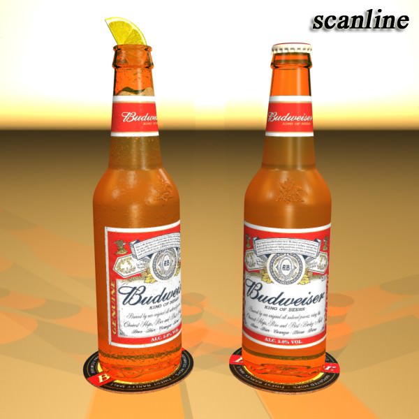 Beer Bottle 6 Packs Coasters Opener Set 3D model_45