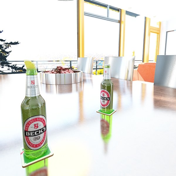 Beer Bottle 6 Packs Coasters Opener Set 3D model_22