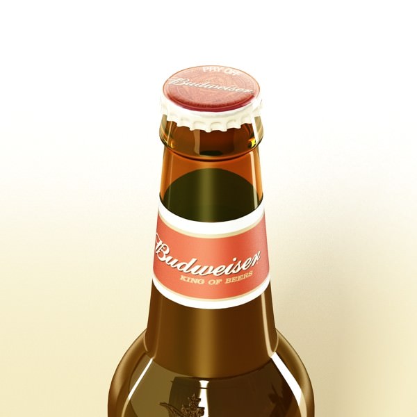 Beer Bottle 6 Packs Coasters Opener Set 3D model_37
