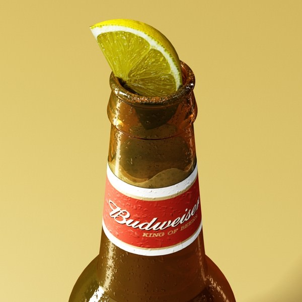 Beer Bottle 6 Packs Coasters Opener Set 3D model_36