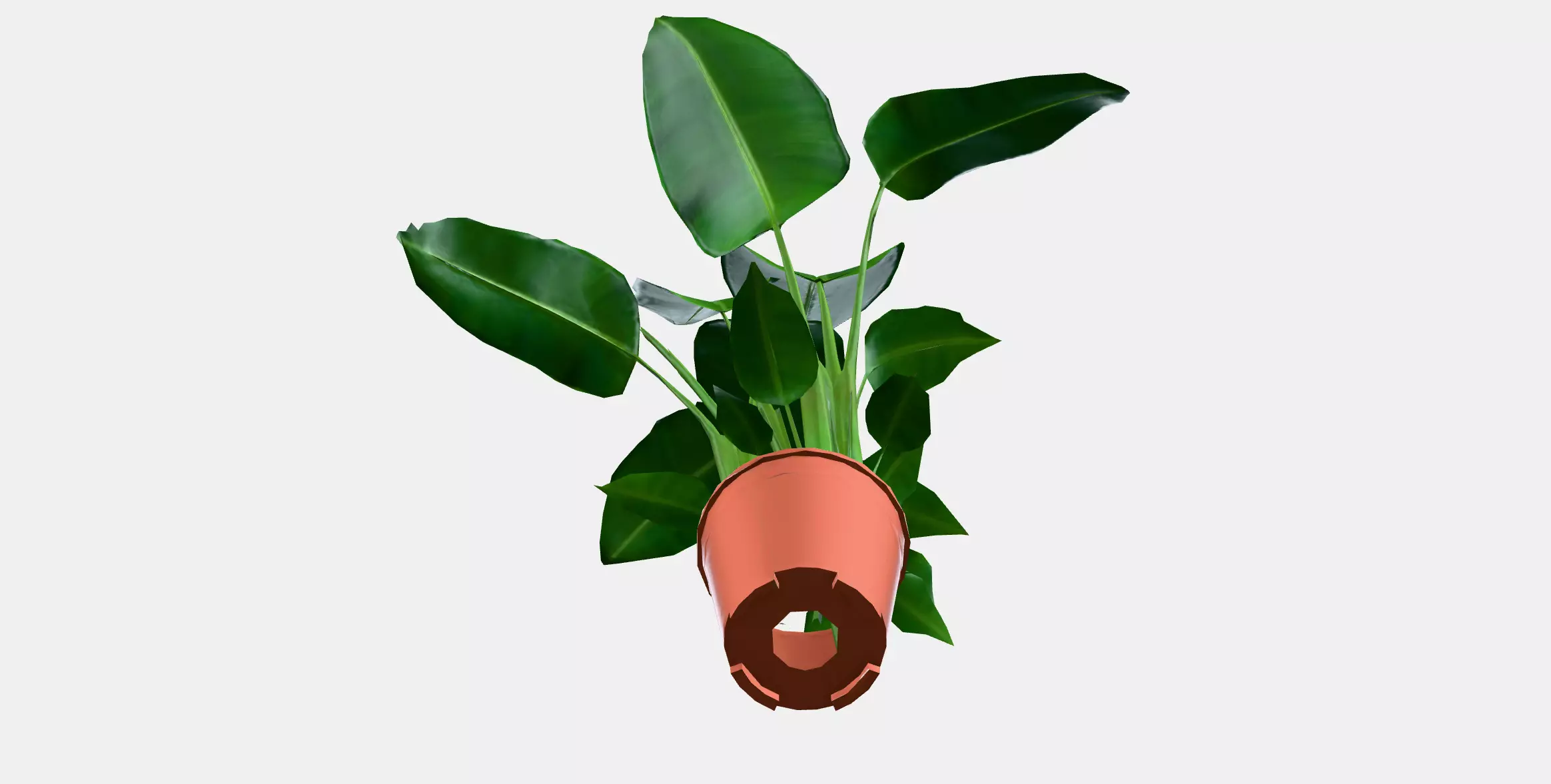 STRELITZIA Potted plant Low-poly 3D model_8