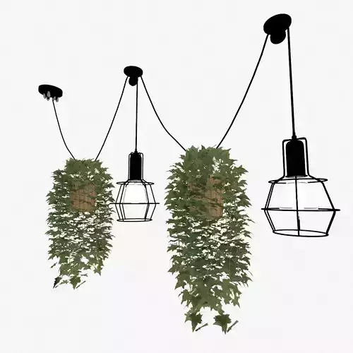 Hanging Decorative Set of Lamps and Potted Plant